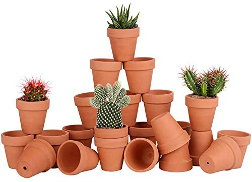 Awsuc Set di 28 Vasi da Fiori 5.5cm,vasi per Piante Vaso in Terracotta in Ceramica con Foro di drenaggio per Interni, Piante da Esterno, Artigianato, Matrimonio