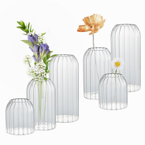 KAMJUNTAR Glass Bud Vases Set of 6, Small Flower Vase, Vintage Mini Ribbed Vases for Table Centerpieces, Clear Cylinder Glass Bud Vase in Bulk for Home, Living Room, Wedding, Party Decor