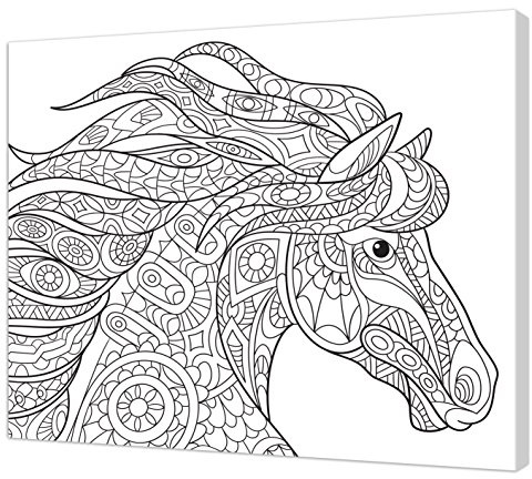 Pintcolor 7162.0 Rahmen mit bedruckter Leinwand zum Ausmalen, Fichtenholz/Baumwolle, Weiß/Schwarz, 50 x 40 x 3,5 cm, 100% Made in Italy