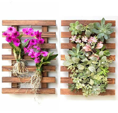 ShopLaLa Wand-Pflanzgefäß, Orchideen-Pflanzgefäß, Holz, für den Außenbereich, Wandhalterung, Luftpflanzen, Sukkulenten-Halter, Aufhänger, vertikale Gartenpflanze, Wanddekoration, 40 cm, 2 Stück