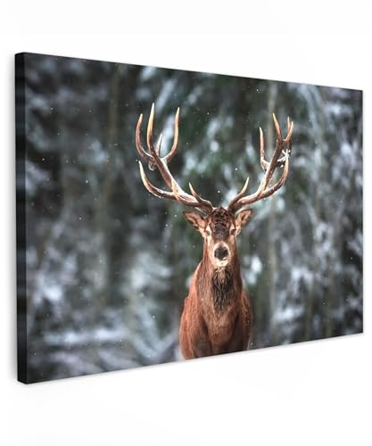 MuchoWow© Leinwand Bilder Groß XXL Wanddeko Wohnzimmer Aesthetic Room Decor | 120x80 cm - Deko Zimmer Wandbilder Modern Bild auf Hirsche - Winter - Schnee - Wald - Natur - Tier