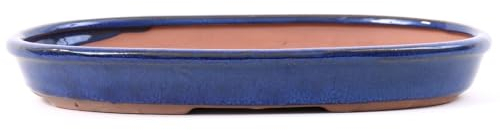 Bonsai - Schale, Waldschale, oval 27 x 16.5 x 3.5 cm blau 51014