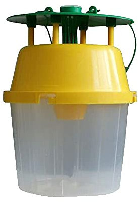 IPM Direct Moth Bucket Trap & Pheromone Lures (Box Tree Moth)