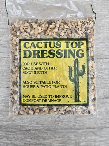 Cactus Top Dressing 800g. Great for Cacti/Cactus, Succulents and Houseplant/Indoor Plants. Perfect for decorating pots. (Natural)