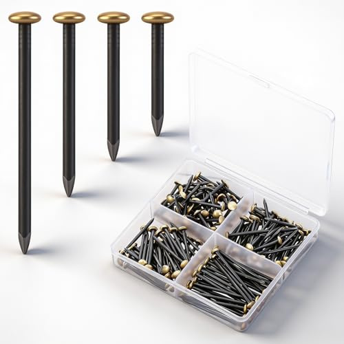 Zourglow 180 Pièces Clous de Suspension 20/25/30/40mm, Clous Pointe Set | Acier Inoxydable, Sans Perçage, Clous Muraux Robustes pour Photos, Cadres, Décorations, avec Boîte de Rangement