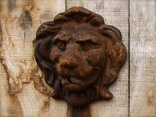 Antikas - Löwenkopf Wasser Auslauf für Wandbrunnen - Brunnen - Dekoration Wand Speier