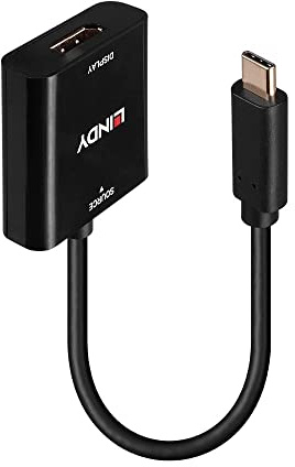 LINDY 43269 USB Typ C auf DisplayPort 4K144 Konverter