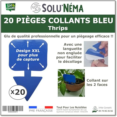 20 Pièges Collants Bleus pour Les Thrips, Moucherons, Design XXL - SoluNéma