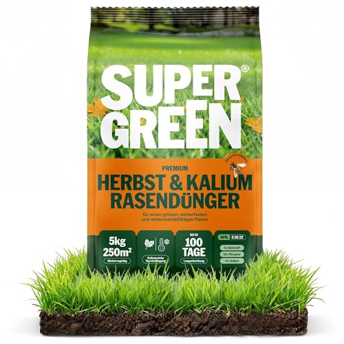 SUPERGREEN Herbst- & Kalium-Rasendünger Langzeit bis 100 Tage | 5 kg für 250m² | NPK 5-10-22 für winterharten Rasen | Stärkt Frostresistenz & Zellstruktur | Nitratfrei & Granulat (2-5 mm)