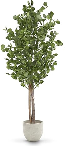 Maia Shop | Konstgjorda Eucalyptus träd | Konstgjorda växter | Falska växter | Mått: 180 x 80 cm | Stora konstgjorda växter | Konstgjord växt | Konstträd | Heminredning | Dekoration