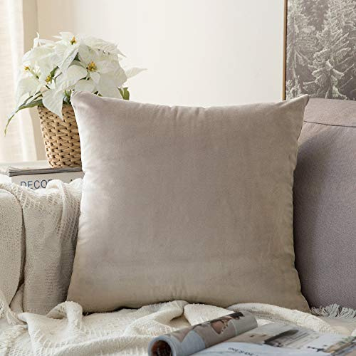 MIULEE Kissenbezug 50x50 cm samtkissen couchkissen Champagner | Kissenhülle Dekorative Dekokissen Sofakissen Wurfkissenbezug mit Verstecktem Reißverschluss Sofa Schlafzimmer