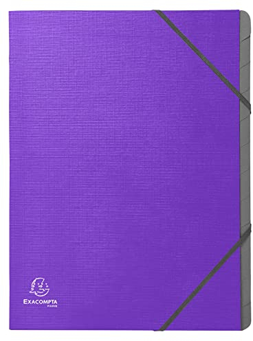 Exacompta 56650E Ordnungsmappe Teksto DIN A4 12 graue Fächer 3 Klappen auf der 3. Seite, 1 Stück Zufallsfarbe