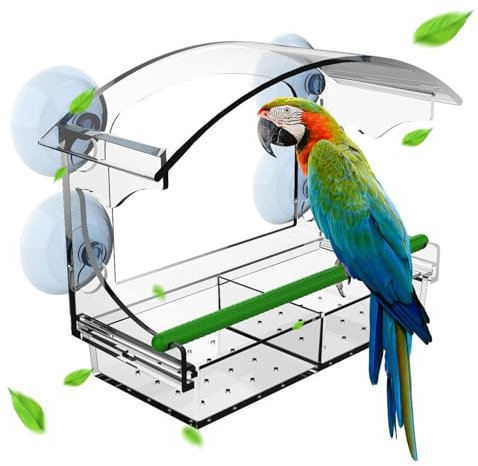 QITHRAN Clear Acrylic Window Bird Feeder with Strong Suction Cups Wild Bird Watching Gift
