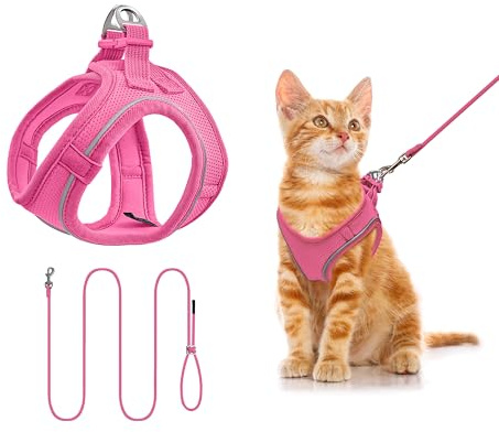 Qianruida Imbracatura Gatto, Imbracatura Gattino Regolabile Set Di Imbracatura E Guinzaglio Per Gatto Animale Domestico Impermeabile Riflettente In Maglia Morbida Traspirante (ROSEO XXXS)