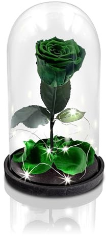 Aluisi Fiori - Rosa Stabilizzata Verde - Base in Legno Nero con LED - Rosa Stabilizzata Vera in Campana di Vetro - Fiori Stabilizzati