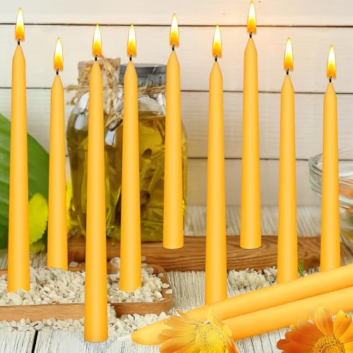 18 Pack Taper Beeswax Candles, 23 cm Dinner Candles Bulk, Up to 10 Hours | Beeswax, Paraffin & Soy Wax Blend Dinner Candles for Christmas, Church Services, Weddings, Parties and Home Décor