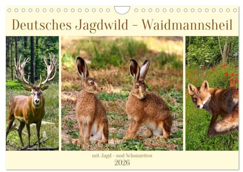 Deutsches Jagdwild - Waidmannsheil (Wandkalender 2026 DIN A4 quer), CALVENDO Monatskalender: Wunderschöne Tiere in Deutschlands Feld und Flur (CALVENDO Tiere)