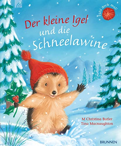 Der kleine Igel und die Schneelawine: Eine abenteuerliche Winter- und Weihnachtsgeschichte zum Vorlesen. Ein Kinderbuch-Klassiker ab 3 aus Christina Butlers Bilderbuch-Reihe