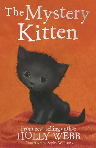 The Mystery Kitten: 44 (Holly Webb Animal Stories, 44)