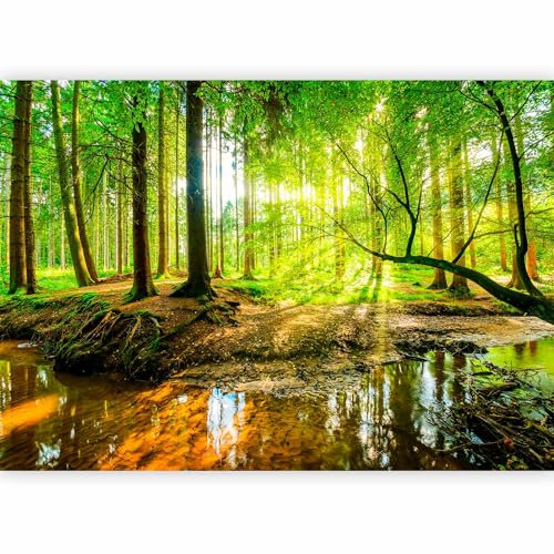 murando - Carta da parati 400x280 cm Fotomurali in TNT Murale alla moda Decorazione da Muro XXL Poster Gigante Design Carta per Pareti Soggiorno Bosco Foresta Natura Albero Verde c-B-0241-a-a
