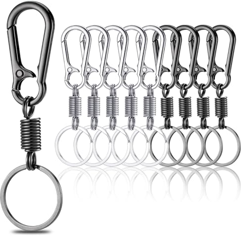 10Stk Karabiner Schlüsselanhänger, Rostschutz Zinklegierung Karabinerhaken Schlüsselanhänger, Feder Carabiner Klein, Schlüssel Karabiner Schlüsselring für Herren Frauen (Schwarz, Silbrig)