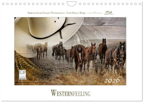 Western-Feeling (Wandkalender 2026 DIN A4 quer), CALVENDO Monatskalender: Westernreiten ... Faszination und Leidenschaft (CALVENDO Hobbys)