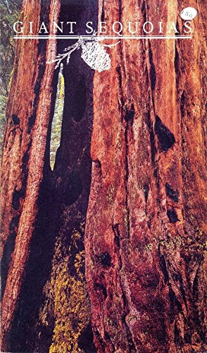 Giant Sequoias