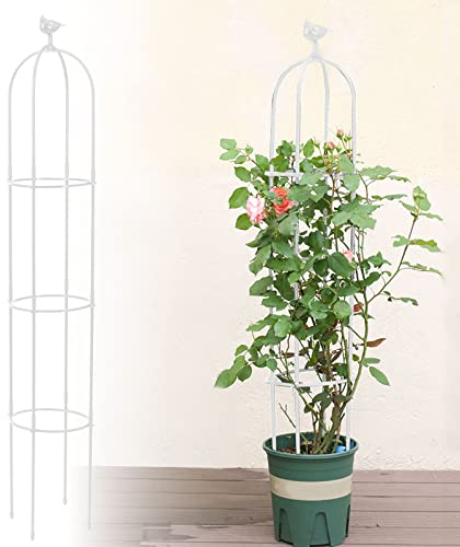 Kalolary Traliccio giardino alto 6 piedi piante rampicanti graticcio obelisco torre Supporto rampicante metallo antiruggine piante vaso interni Fiori all'aperto Verdure Frutta Vite Supporto (Bianco)
