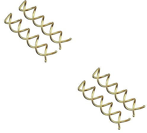 Didiseaon 40pcs Spiral Hair Pin of Corkscrew Hair Pins Plated Non-fading No Tool Needed