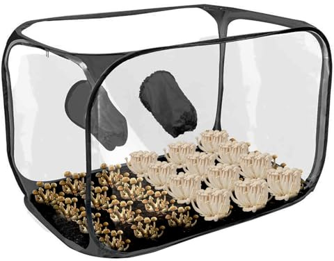 Generico Tenda per la coltivazione dei funghi – trasparente pieghevole, scatola di coltivazione trasparente, kit serra ventilata, di controllo 'umidità, camera compatta per piante | Ideale p