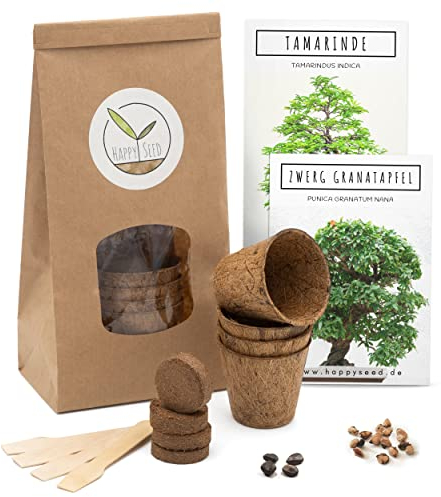 Bonsai Kit incl. eBook GRATUITO - Starter Set con vasi di cocco, semi e terra - idea regalo sostenibile per gli amanti delle piante (Melograno nano + Tamarindo)