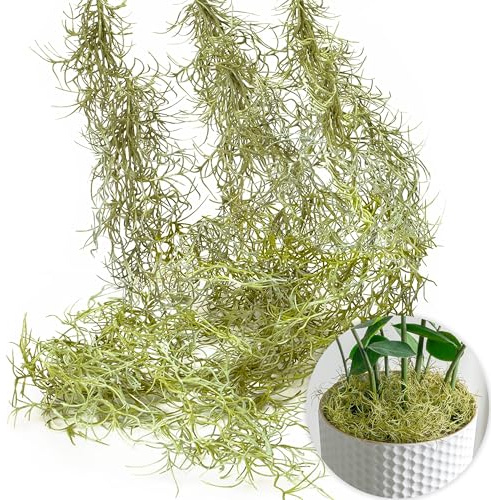 SEEKO Succulents Muschio spagnolo XL (3 pezzi, lunghi 83,8 cm), muschio finto per artigianato