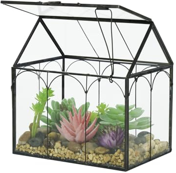 Ferrisland Glas-Pflanzen-Terrarium-Behälter, Wardian-Koffer, für den Innenbereich, kleines Sukkulenten-Terrarium, Pflanzgefäß mit Tür für Tischdekoration, DIY (L x B x H): 15,2 x 10,9 x 16 cm