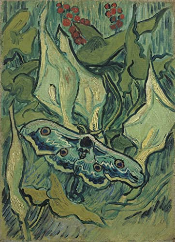 XSBPDPII Klassisches Ölgemälde Wand-Kunst Bild Leinwandk unstwerk Das große Grüne pfau-gemälde von vincent van gogh Posterdrucke für Wohnkultur 60x90cm