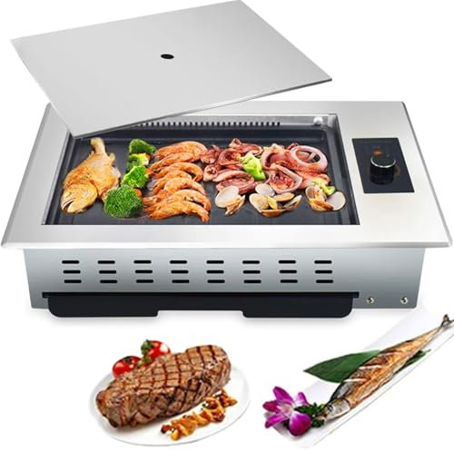 Fitlin Barbecue électrique, Plaque de Cuisson Domestique sans fumée, Barbecue Commercial, Gril de Table avec Bouton de température, Gril de Table for Cuisine, extérieur, Restaurant, Camping