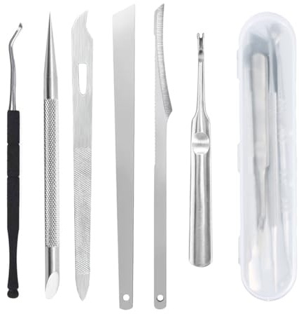 Kit Pedicure Professionale 6 Pezzi, Attrezzi per Pedicure in Acciaio Inossidabile, Set per Rimozione Unghie Incarnite e Pulizia Sotto Unghie, Strumenti Cura Piedi con Custodia