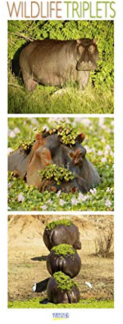 Wildlife Triplets 2021: Schmaler Wandkalender. Foto-Kunstkalender von Tieren in der Natur und im Meer. PhotoArt Vertikal. 28,5 x 69 cm.