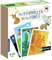 Nathan - Jeu Educatif - Les 9 Familles De La Forêt - pour Enfants A Partir De 5 Ans - Jeu De Cartes - Apprends A Connaître Les Animaux De La Forêt 31701 Rouge