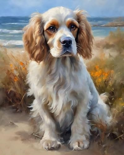 ZMHZMY Malen nach Zahlen Kit für Erwachsene, Cocker Spaniel,Poster Kunst Moderne Leinwand Ölgemälde Home Decor,40x50cm