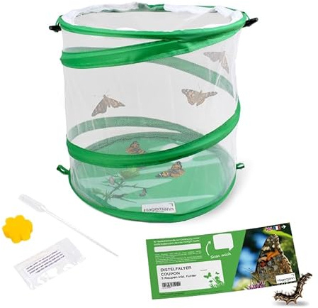 Hagemann Schmetterlingszucht-Set, Starter (mit Gutschein für 5-7 Raupen) | Entwicklung von der Raupe zum einheimischen Distelfalter beobachten | Inklusive Lernmaterialien