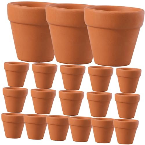 HANABASS 20 Mini Vasi in Terracotta Per Piante - Vasi in Argilla Per Decorazioni Contenitori in Miniatura Per Piante Da Appartamento