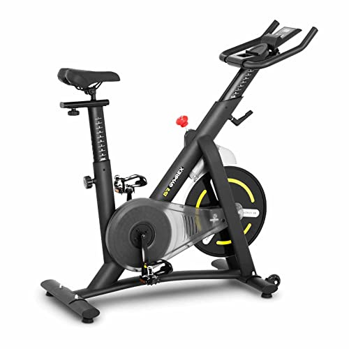 Gymrex Stationär cykel motionscykel snurra stationär cykel svänghjul massa 13 kg LCD GR-MG13 (aluminium, imitationsläder, ABS, järn, max. Kapacitet 110 kg)