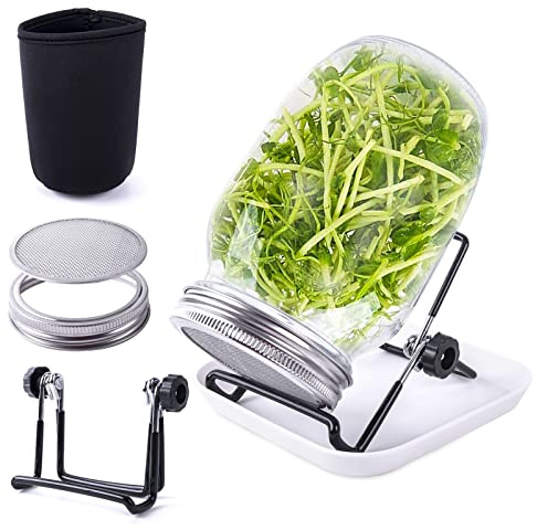 Seed Sprouting Jar Kit with 1 Wide Mouth Mason Jars Bean Sprouts Growing Kit Microgreens Growing Jar with Mesh Screen Lids Sprouter Sprouts Maker for Growing Broccoli, Alfalfa, Mung Bean