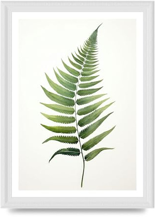Lithobee - Green Fern Art Print Home Wall Art Prints in Sizes A2, A3 & A4 Framed in a Stylish Quality Coloured Frame or Unframed - A4 White Ornate Frame