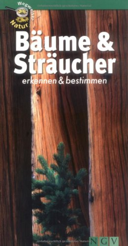 Bäume & Sträucher erkennen und bestimmen: Wegweiser Natur