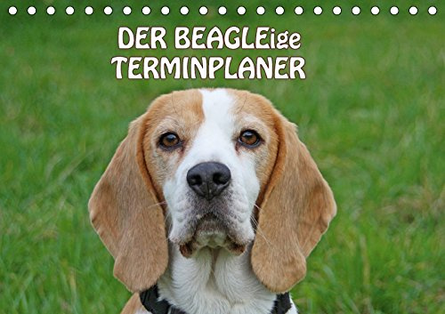 DER BEAGLEige TERMINPLANER (Tischkalender 2018 DIN A5 quer): Putzige Schlappohren (Geburtstagskalender, 14 Seiten ) (CALVENDO Tiere) [Kalender] [Apr 08, 2017] Lindert-Rottke, Antje