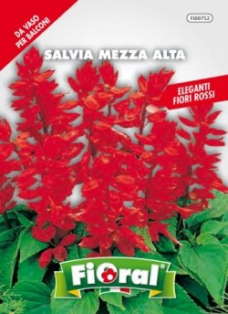 Sementi da fiore di qualità in bustina per uso amatoriale (SALVIA MEZZA ALTA)