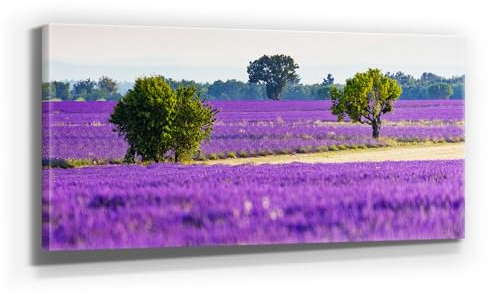 Traumhaftes Lavendel Leinwand-Bild, Lila Felder in 110x50cm. Oder 9 weitere, schöne Lavendel Bilder als Wandbild zur Deko für Küche, Flur, Wohnzimmer & Schlafzimmer. Aufgespannt auf Holzrahmen
