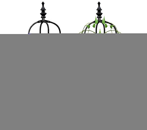 Jaulas para Plantas al Aire Libre, Flores Metal para Escalada, decoración del hogar para césped, Porche, balcón, jardín, Patio para Verduras, Hiedra, Escalada jazmín Anulely