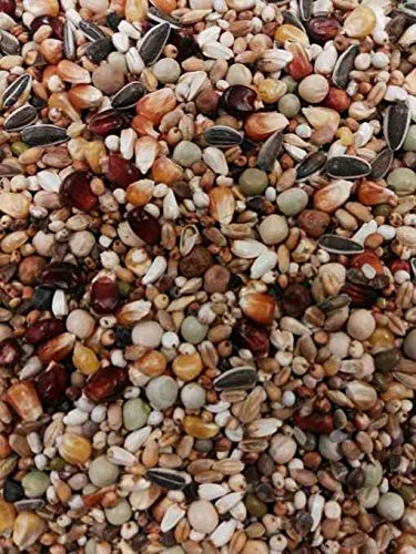 Eurital BTS Allround Topp Taubenfutter 5kg